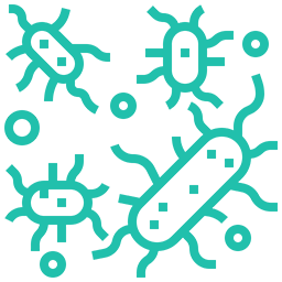 bacterium